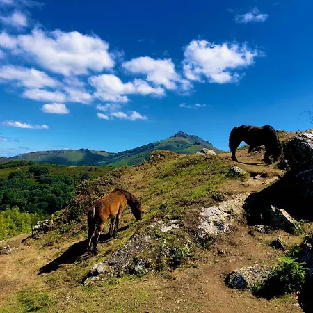 Hyper-centre-plage - 46m2 - 2 Pieces - Renove 2023 *